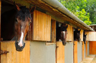 free Arden Park stable construction quotes